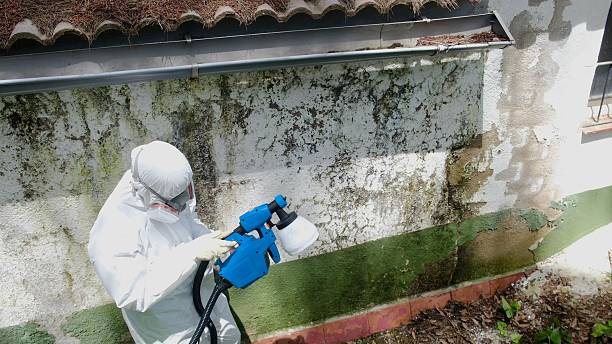 Trusted Commercial Mold Remediation service in Honey Grove, TX - Cheap Mold Removal